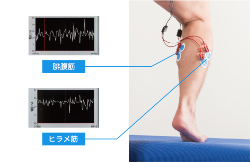 科学的根拠に基づく製品づくり